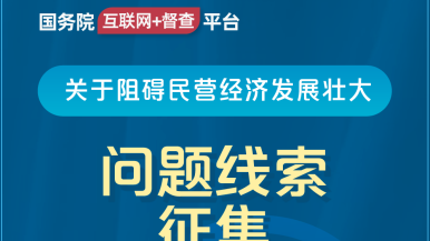 啊～嗯～哼～好大～好深～尻～顶到里面了～自慰棒国务院“互联网+督查”平台公开征集阻碍民营经济发展壮大问题线索